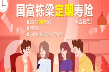 國富棟梁定期壽險（含豁免）產(chǎn)品介紹