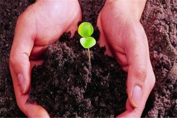 百年定惠保定期壽險(xiǎn)案例介紹