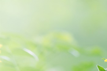 人壽的百萬醫(yī)療險可以單獨(dú)購買嗎
