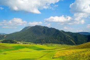 360百萬醫(yī)療險是真的嗎