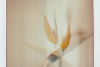 純消費(fèi)型重疾險(xiǎn)