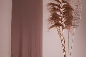 泰康重疾險(xiǎn)為什么便宜