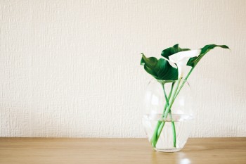 重疾險是消費險嗎