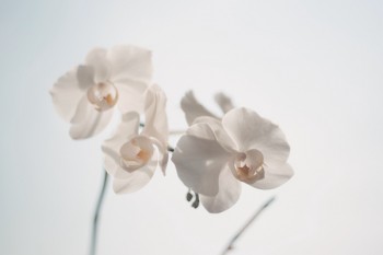 重疾險(xiǎn)需要買(mǎi)終身嗎