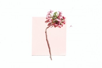 性價比最高重疾險
