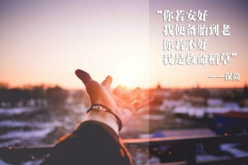 重疾險(xiǎn)一次性躉交