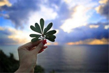 重疾險(xiǎn)買多少保額合適