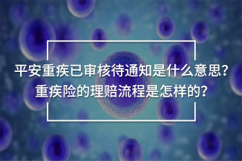 平安重疾已審核待通知