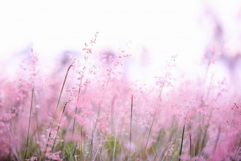 重疾險(xiǎn)條款解讀