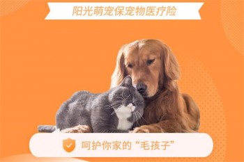 陽光萌寵保寵物醫(yī)療險