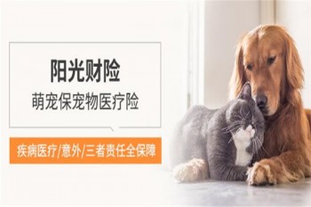 陽光萌寵保寵物醫(yī)療險(xiǎn)怎么樣