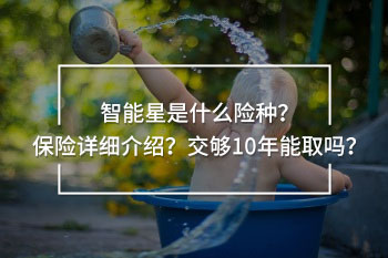智能星
