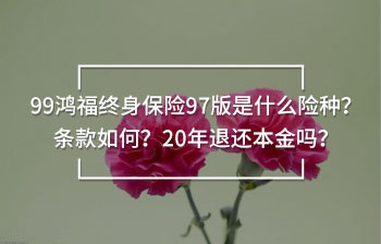 99鴻福終身保險97版