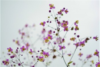 重疾險20年好還是30年