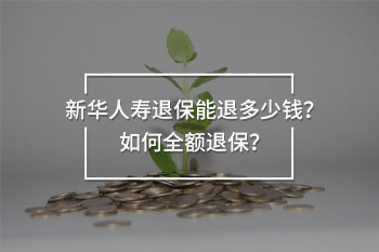 重疾險退不退本金