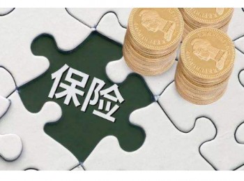 愛心人壽的重疾險(xiǎn)