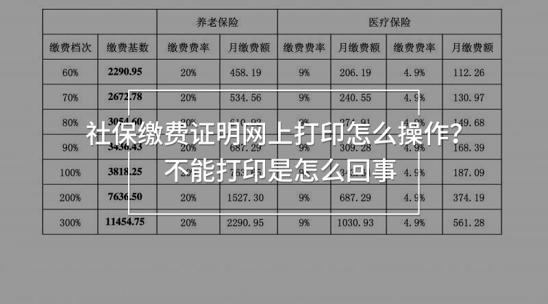 社保繳費(fèi)證明網(wǎng)上打印