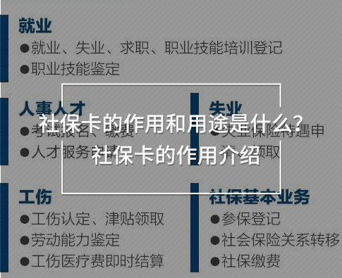 社?？ǖ淖饔煤陀猛臼鞘裁? width=
