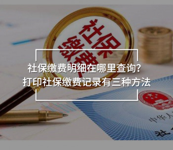 社保繳費明細在哪里查詢