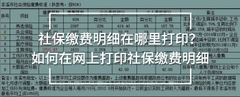社保繳費明細(xì)在哪里打?。咳绾卧诰W(wǎng)上打印社保繳費明細(xì)