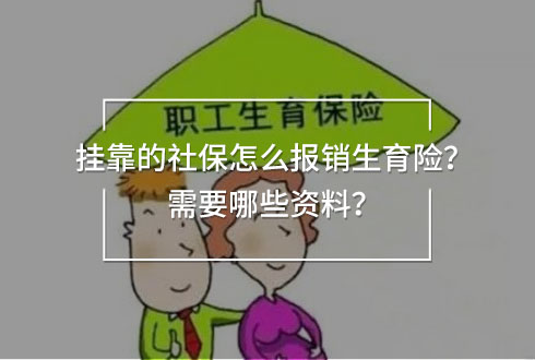 掛靠的社保怎么報銷生育險