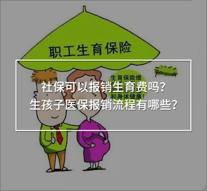 社?？梢詧箐N生育費(fèi)嗎