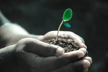 重疾險(xiǎn)投保前告知什么