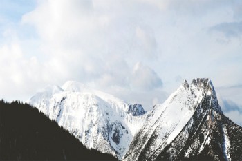 重疾險100萬保費多少