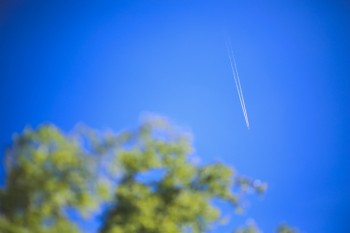 大地保險退保能退多少錢？如何全額退保？