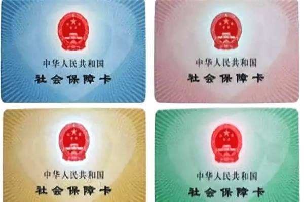 社?？ǚ謳追N有什么區(qū)別