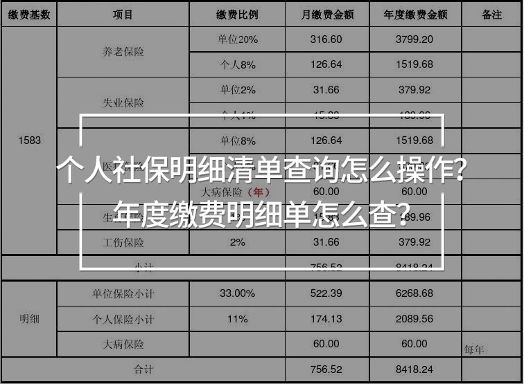 個(gè)人社保明細(xì)清單查詢