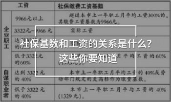 社?；鶖?shù)和工資的關(guān)系是什么？這些你要知道