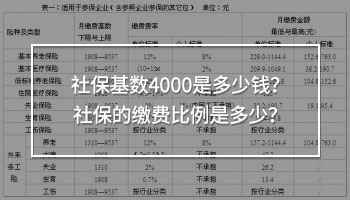社?；鶖?shù)4000是多少錢(qián)？社保的繳費(fèi)比例是多少？
