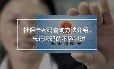 社?？艽a查詢
