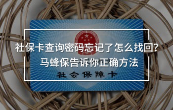 社?？ú樵兠艽a忘記了怎么找回？馬蜂保告訴你正確方法