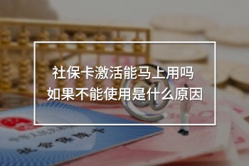 社?？せ钅荞R上用嗎 如果不能使用是什么原因
