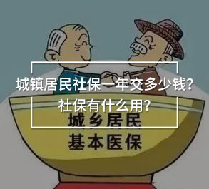 城鎮(zhèn)居民社保一年交多少錢