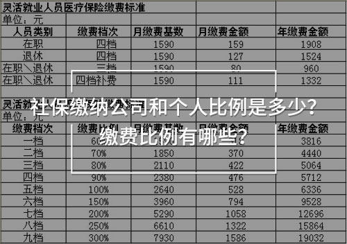 社保繳納公司和個(gè)人比例是多少？繳費(fèi)比例有哪些？