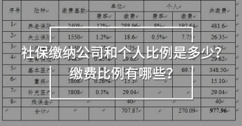 社保繳納公司和個(gè)人比例是多少？繳費(fèi)比例有哪些？