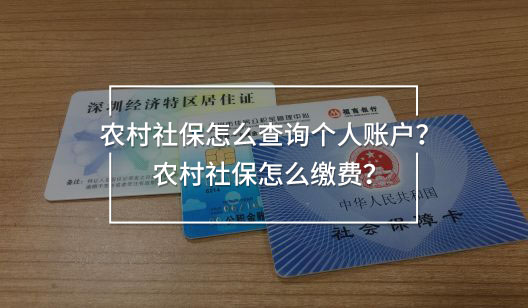農(nóng)村社保怎么查詢個人賬戶？農(nóng)村社保怎么繳費？