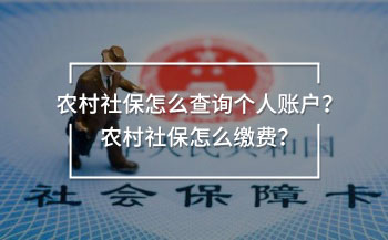 農(nóng)村社保怎么查詢個(gè)人賬戶？農(nóng)村社保怎么繳費(fèi)？