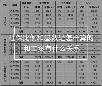 社保比例和基數(shù)是怎樣算的 和工資有什么關(guān)系