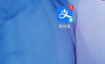 社保號怎么查