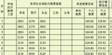 社保繳納查詢情況查詢怎么操作？怎么選擇社保代繳公司？