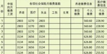 社保繳納記錄去哪里查？繳納社保有什么好處？