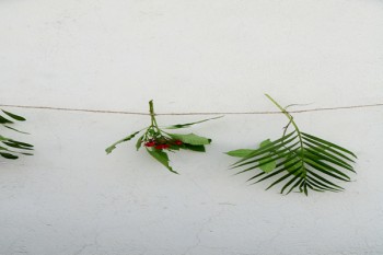 重疾險不含原位癌