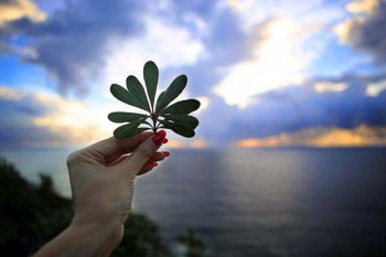 重疾險(xiǎn)哪款便宜