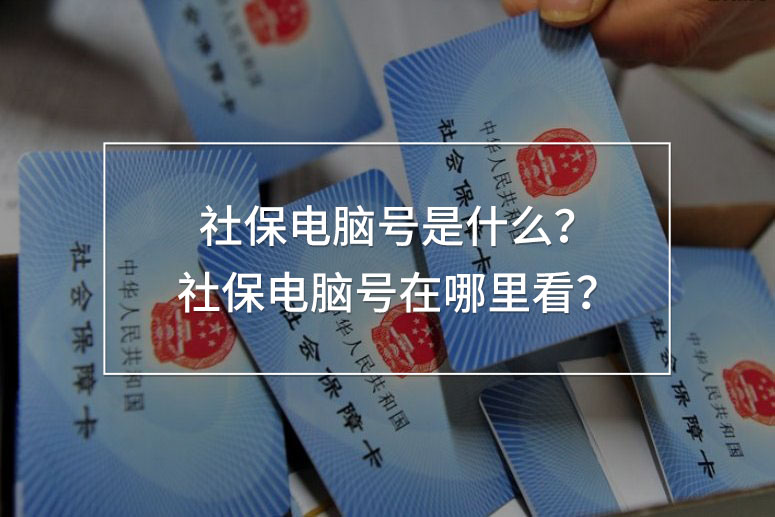 社保電腦號是什么