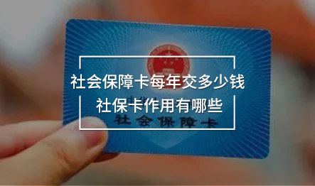 社會(huì)保障卡每年交多少錢 社保卡作用有哪些