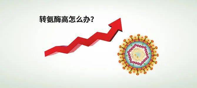 轉(zhuǎn)氨酶高可以買重疾險(xiǎn)嗎